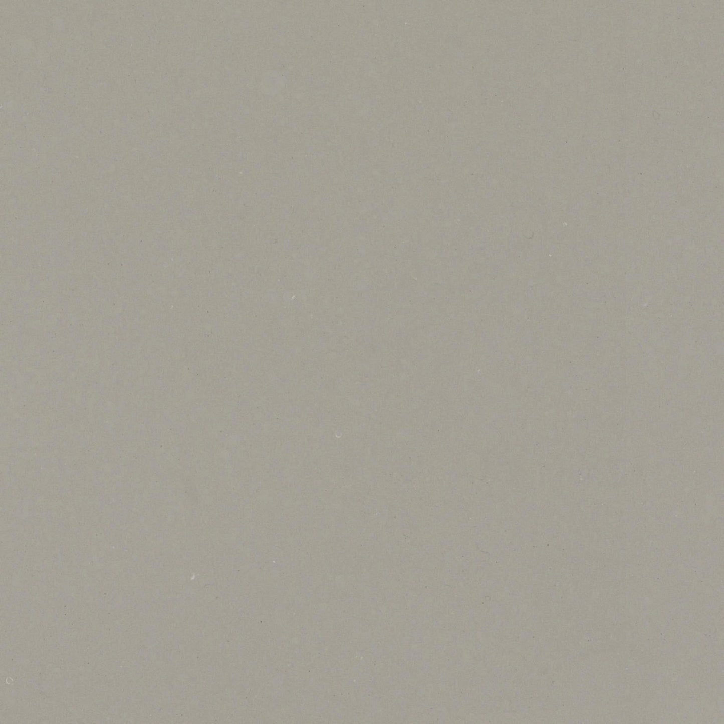 Ash Grey